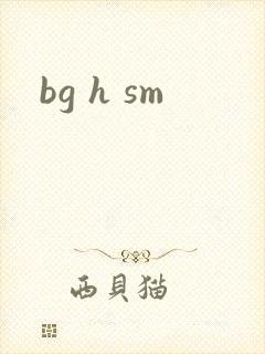 bg h sm