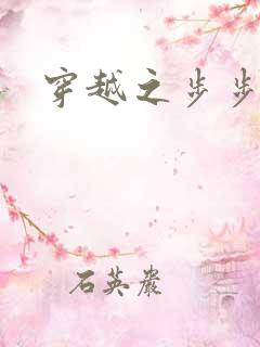 穿越之步步惊心