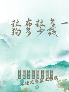 拉布拉多一般小狗多少钱