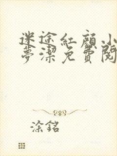 迷途红颜小说陈梦洁免费阅读