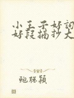 小王子好词好句好段摘抄大全 小王子好词好句好段摘抄大全