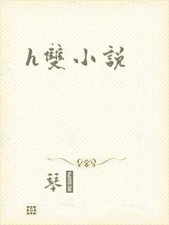 h双小说