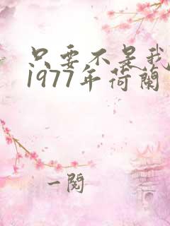 只要不是我丈夫1977年荷兰