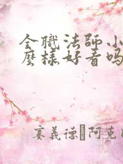 全职法师小说怎么样好看吗