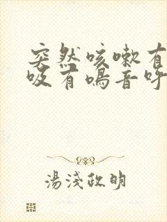 突然咳嗽有痰呼吸有鸣音呼吸困难