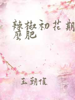 辣椒初花期施什么肥