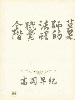 全职法师莫凡超阶觉醒的是哪个系
