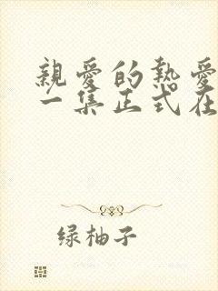 亲爱的热爱的哪一集正式在一起