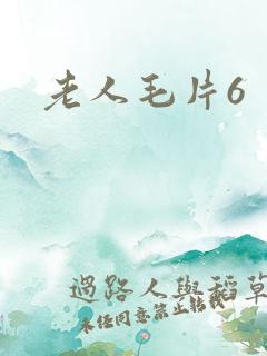 老人毛片6