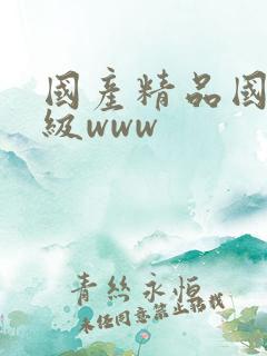 国产精品国产三级www