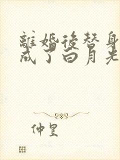 离婚后替身前妻成了白月光大结局
