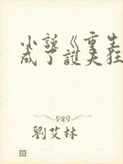 小说《重生后我成了护夫狂魔》