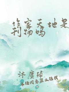 作家天地是正规刊物吗