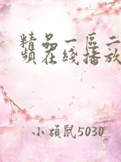 精品一区二区视频在线播放