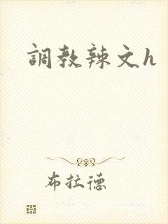 调教辣文h