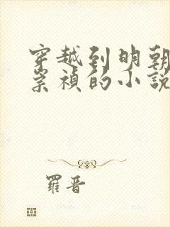 穿越到明朝成为崇祯的小说