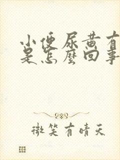 小便尿黄有异味是怎么回事