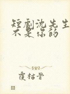 短剧沈先生孩子不是你的