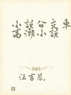 小说公交车被上高潮小说