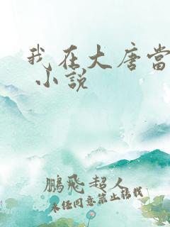 我在大唐当闲王 小说