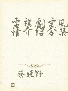 电视剧定风波剧情介绍分集