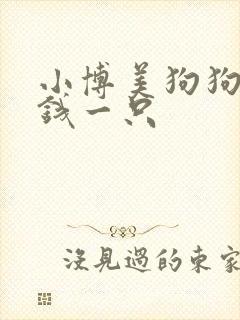 小博美狗狗多少钱一只