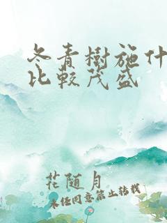 冬青树施什么肥比较茂盛