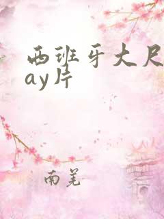 西班牙大尺度gay片