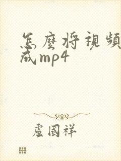 怎么将视频修改成mp4