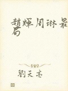 赵辉周琳最后结局