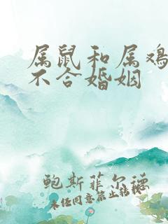 属鼠和属鸡的合不合婚姻