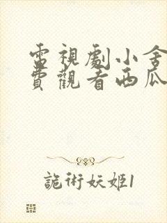 电视剧小舍得免费观看西瓜