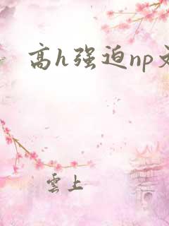 高h强迫np文