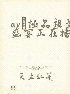 av―极品视觉盛宴正在播放