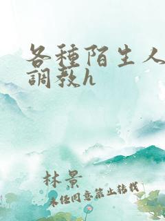 各种陌生人np调教h
