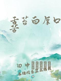 舌苔白厚口干口苦