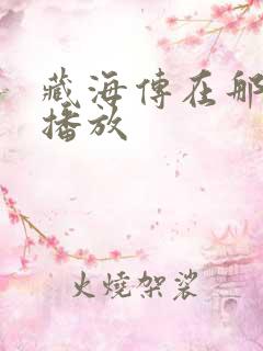 藏海传在那个台播放
