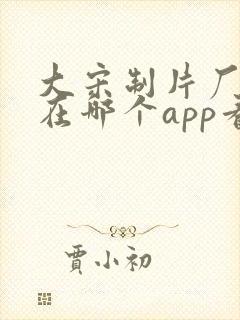 大宋制片厂短剧在哪个app看