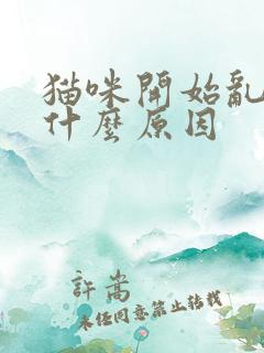 猫咪开始乱尿是什么原因