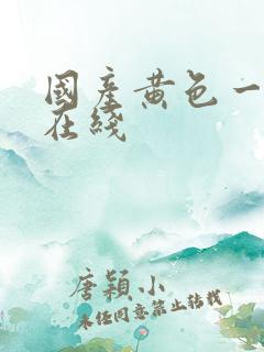 国产黄色一级片在线