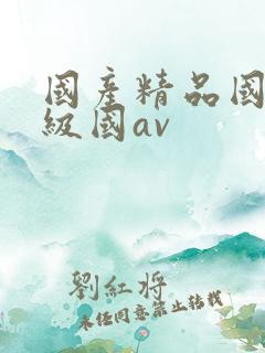 国产精品国产三级国av