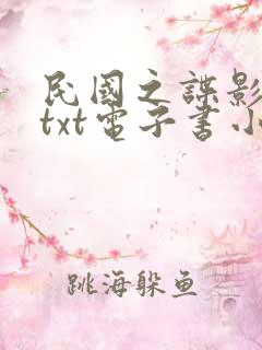 民国之谍影风云txt电子书小说网