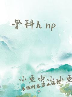 骨科h np