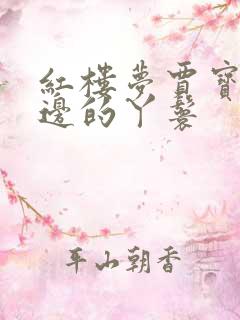 红楼梦贾宝玉身边的丫鬟