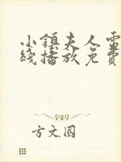 小镇夫人电影在线播放免费