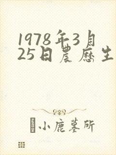 1978年3月25日农历生辰八字