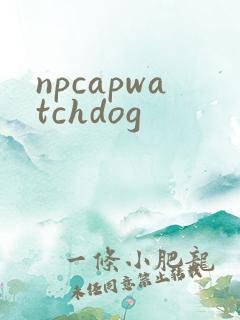 npcapwatchdog