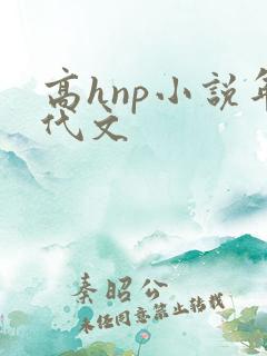 高hnp小说年代文