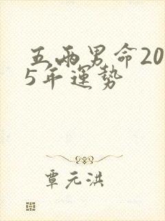 五两男命2025年运势