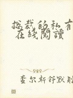 总裁的私有宝贝 在线阅读